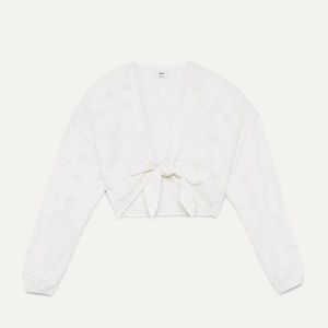 Aritzia Wilfred raissa blouse